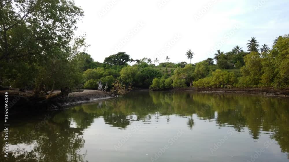 KEN_Kongo_River_Kenia_Ukunda_DianiBeach_Mangroves_Boattrip_2022_002_4K_42sec.mp4 KEN_Kongo_River_Kenia_Ukunda_DianiBeach_Mangroves_Boattrip_2022_002_4K_42sec.mp4