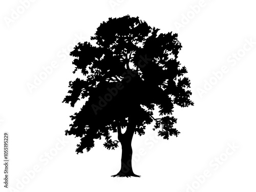 Black Branch Tree and root or Naked trees silhouettes. Hand drawn isolated illustrations. Tree and roots LOGO style.