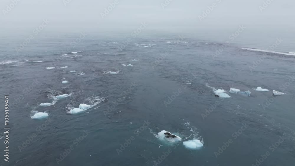 Oceanic water with lots of icebergs and birds in dense fog Oceanic water with lots of icebergs and birds in dense fog