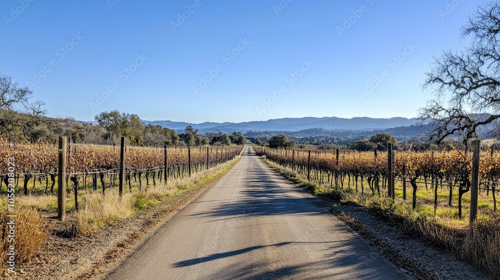 A peaceful narrow road leading to a vineyard, with rows of grapevines stretching out on either side under a clear blue sky. A peaceful narrow road leading to a vineyard, with rows of grapevines stretching out on either side under a clear blue sky.