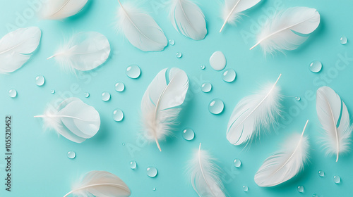 Delicate white feathers and water droplets on a light blue background.