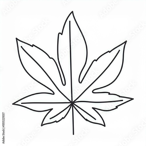 maple leaf outline hand drawn illustration isolated on white