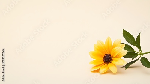 Wallpaper Mural Bright yellow flower on soft background Torontodigital.ca