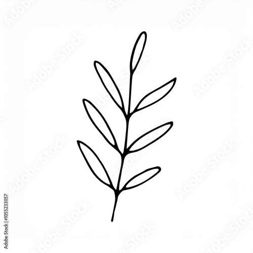 black hand drawn botanical leaves branch outline illustration element isolated on white