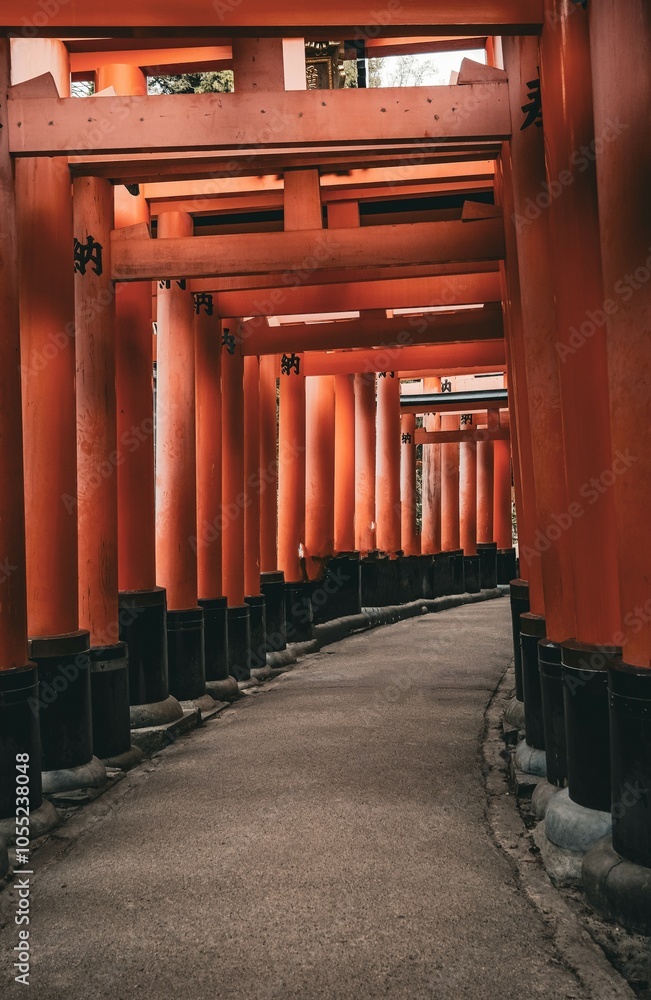temple Fushimi-Inari Taisha , Torii , Kyoto , Japon temple Fushimi-Inari Taisha , Torii , Kyoto , Japon