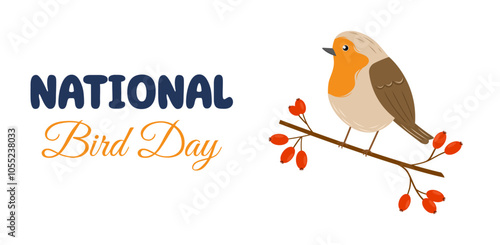 National Bird Day. January 5. Colorful hand drawn bird robin sitting on a branch with berries. Vector template for holiday poster, banner, flyer, card.