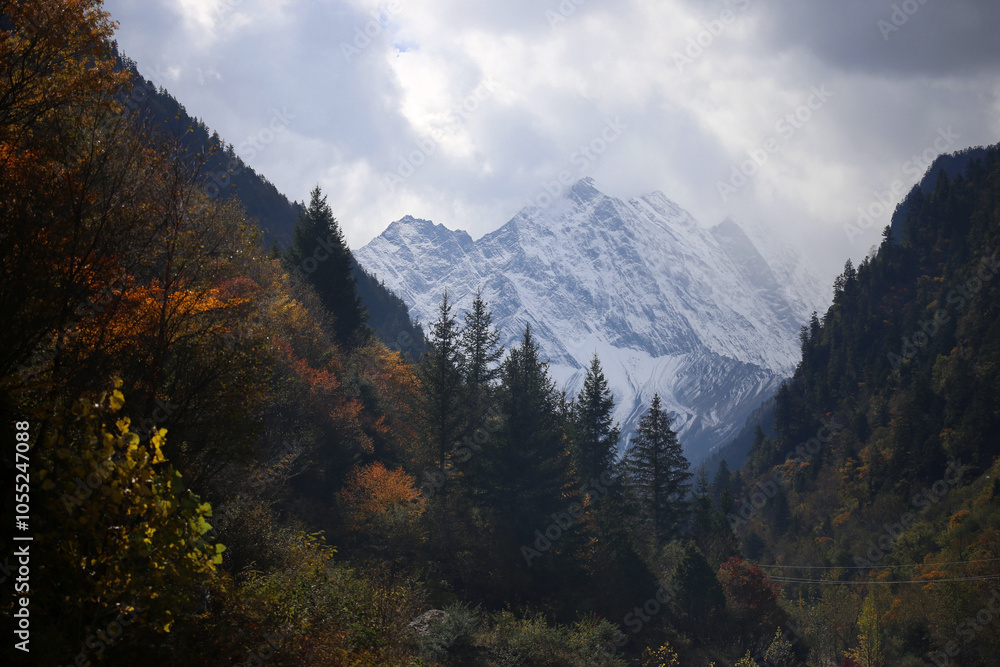 Fototapeta premium Perfect autumn and snowy mountains in Bipenggou, Sichuan, China