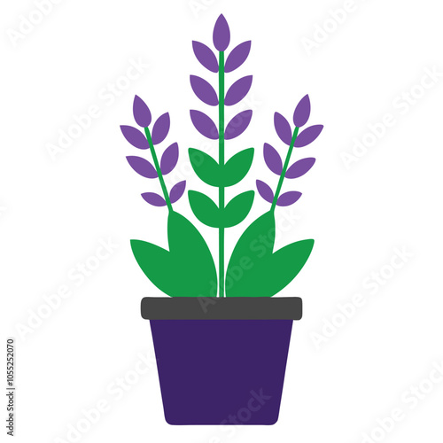 Purple Flower Plant in Pot with Green Leaves