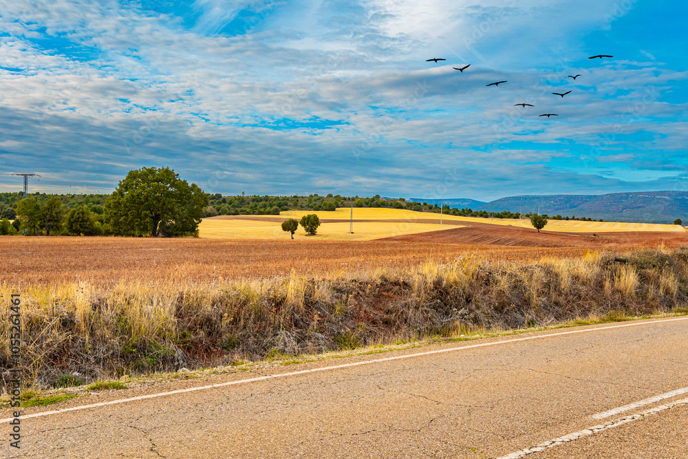 Fototapeta premium Spain. Beautiful road