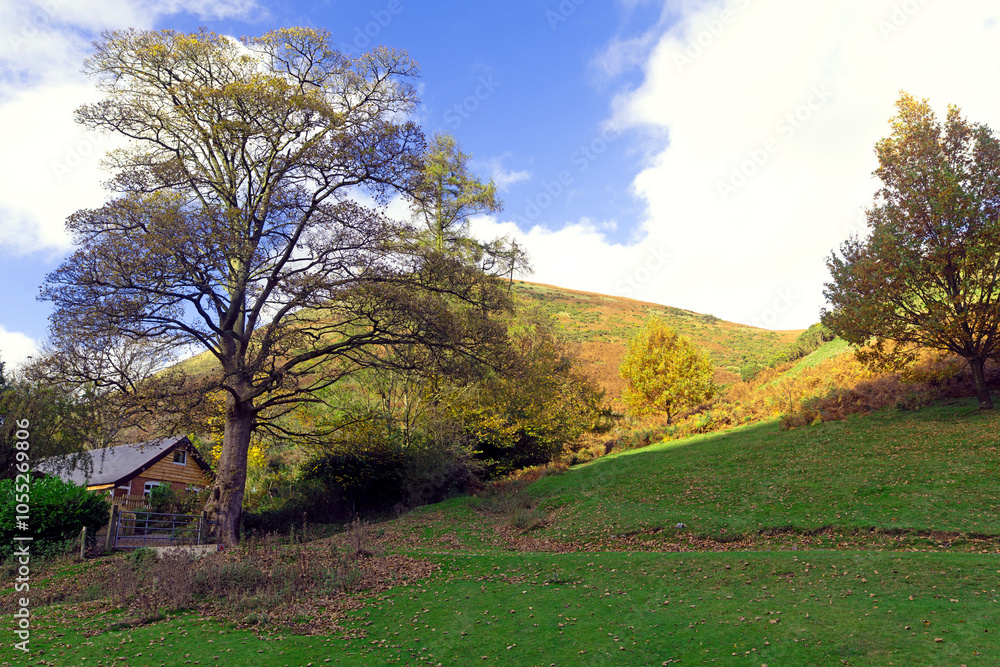 Wistful autumnal melancholy, in Church Stretton, Shropshire. Wistful autumnal melancholy, in Church Stretton, Shropshire.