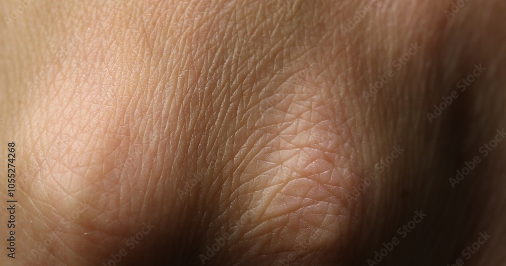 Close-up of Human Skin Texture Under Natural Light Close-up of Human Skin Texture Under Natural Light
