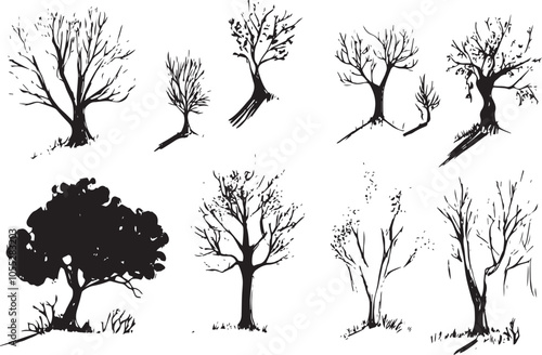 Set Trees. Hand drawn vector illustration	