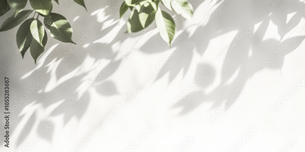 Soft Shadows of Leaves on a Light Background Soft Shadows of Leaves on a Light Background