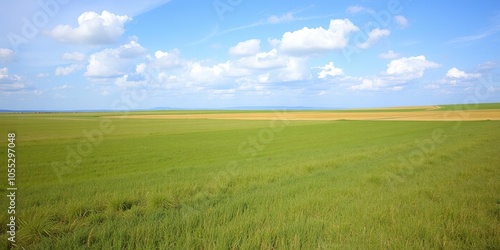 Vast green field reaching towards the endless horizon under a clear blue sky with fluffy white clouds, scenic, landscape