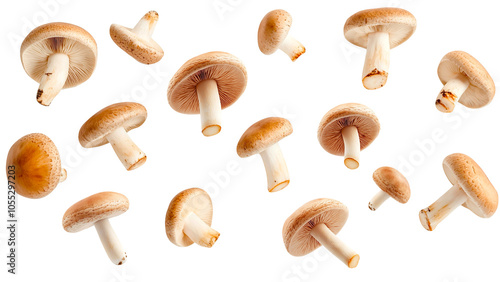 Assorted Brown Mushrooms Floating Isolated on Transparent Background