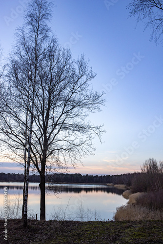 A serene and tranquil lakeside view featuring bare trees beautifully contrasting under a vivid dusk sky