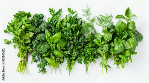 Fresh Green Herbs Parsley Basil Dill Culinary Cooking Food Ingredient