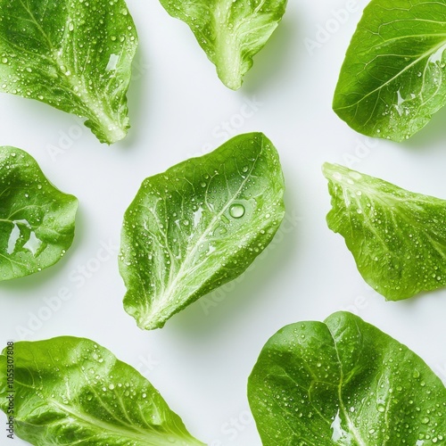 Close-up of fresh green lettuce leaves with water droplets photo