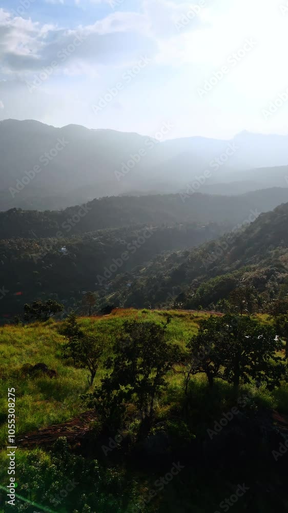 Flying over the mountains overgrown with green grass and trees. Sunlit mountainous landscape of Sri Lanka. Aerial view. Vertical video. Flying over the mountains overgrown with green grass and trees. Sunlit mountainous landscape of Sri Lanka. Aerial view. Vertical video.