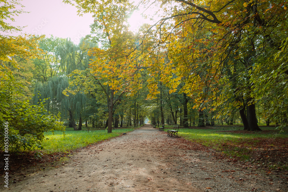 Fototapeta premium Path in autumn park. Beautiful landscape.