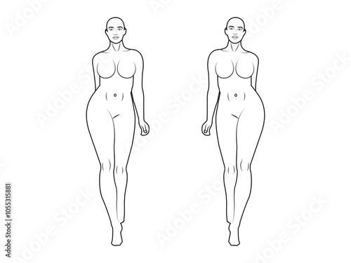 Fashion models posing,  Woman body templates.