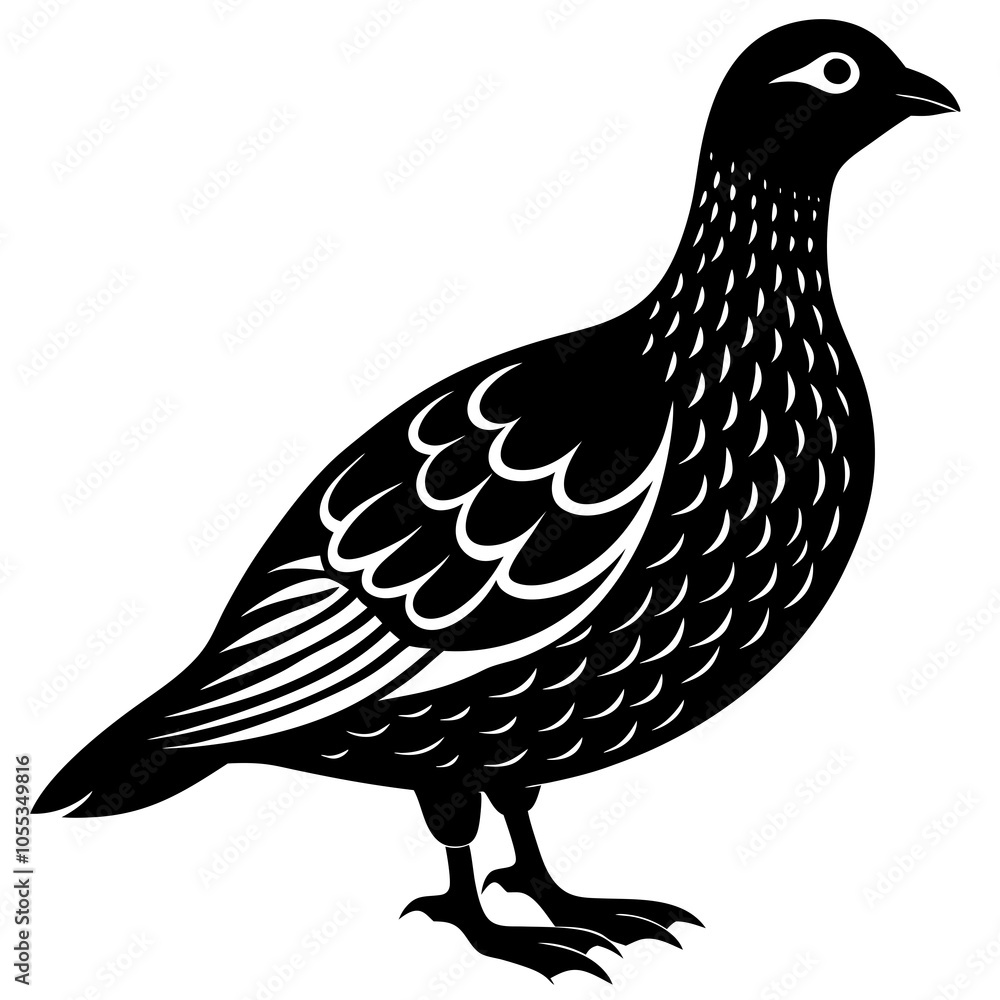 Fototapeta premium Dusky Grouse silhouette on a white background
