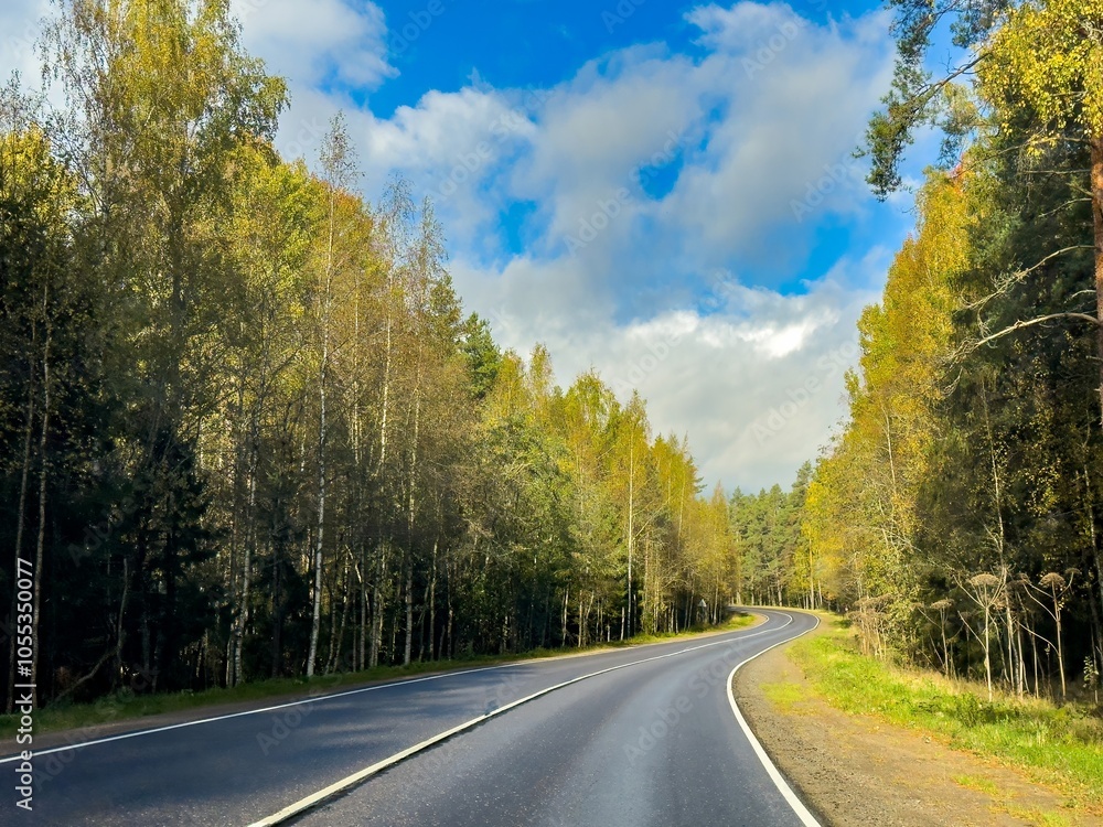 Peaceful scene of a winding road cutting through a lush forest in Karelia, with autumn leaves creating a warm, inviting atmosphere. Captured on a sunny day with a partly cloudy sky, this image Peaceful scene of a winding road cutting through a lush forest in Karelia, with autumn leaves creating a warm, inviting atmosphere. Captured on a sunny day with a partly cloudy sky, this image