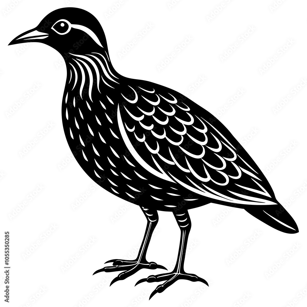 Fototapeta premium oilbird vector silhouette on a white background