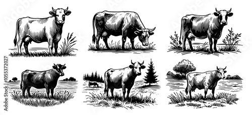 Farm animals and nature in rustic countryside – black vector drawing