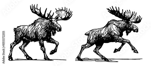 elegant moose in motion drawn in monoline, expressive black vector art