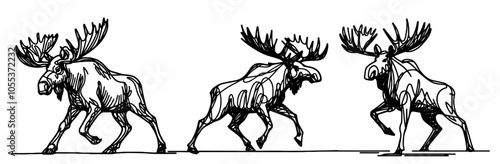 Wildlife illustrations of moose with antlers in black vector style