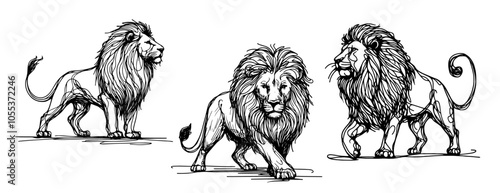 graceful silhouette of a lion sprinting, showcasing minimalist design and the beauty of nature black vector