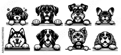 playful dog faces peeking, detailed black vector of multiple breeds