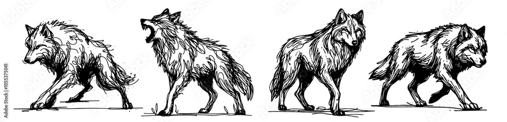 wild wolves walking, collection of black vector drawings wild wolves walking, collection of black vector drawings