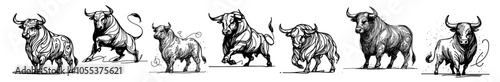 illustration of standing bull with muscular form, black vector art