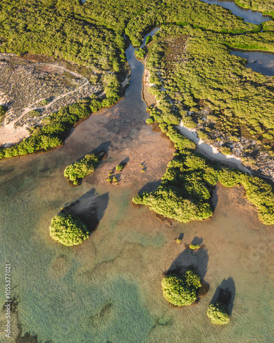 Aerial view of serene mangrove bay with pristine waters and lush greenery, Cape Range National Park, Australia. photo