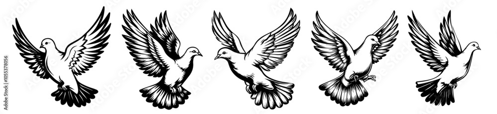 elegant doves in flight, hand-drawn black vector illustration set elegant doves in flight, hand-drawn black vector illustration set