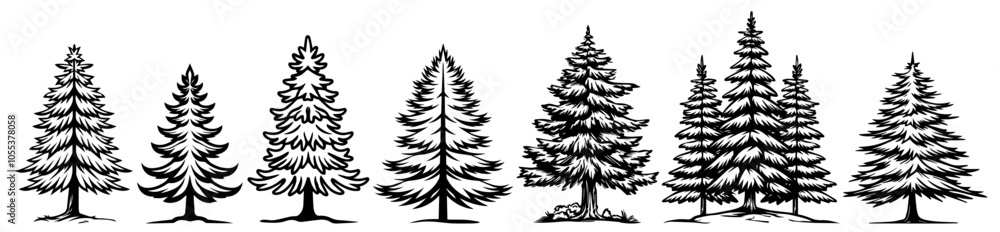 illustrations of coniferous trees, black vector nature collection illustrations of coniferous trees, black vector nature collection