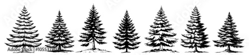 variety of pine tree designs, classic black vector illustration