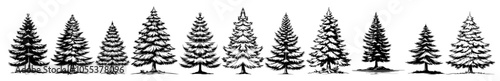 collection of pine tree illustrations in different styles, black vector