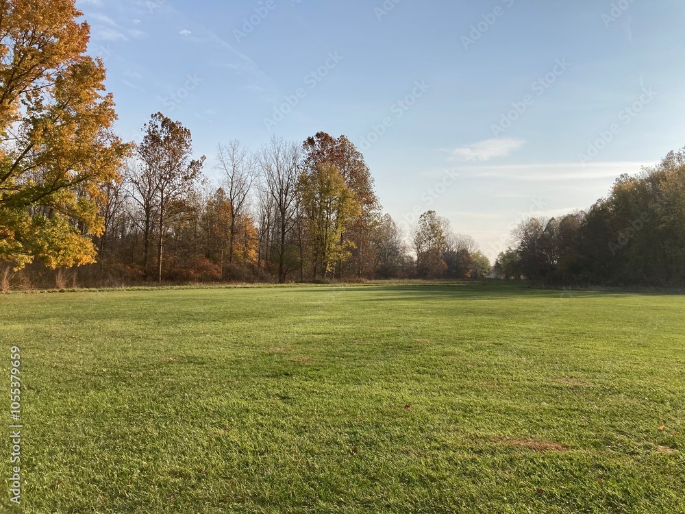 autumn landscape in the park autumn landscape in the park