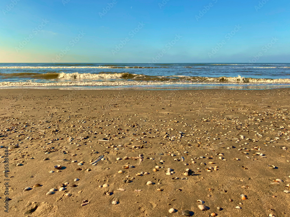 North Sea beach with shells and surf North Sea beach with shells and surf