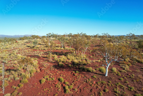 Aerial view of termite mound and red earth landscape with sparse vegetation, Karijini National Park, Tom Price, Australia. photo