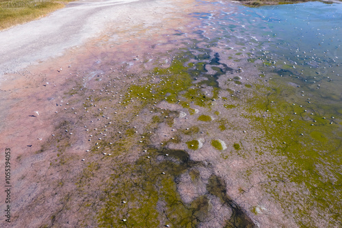 Aerial view of serene wetland landscape with tranquil water and unique patterns, Shablenska Tuzla, Bulgaria.