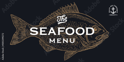 Gilt-head bream, fish, Dorado, seafood, sketch. Vintage retro print, seafood fish sketch, logo sign template, ink pencil style drawing, engrave old school. Hand drawn sketch fish. Vector Illustration