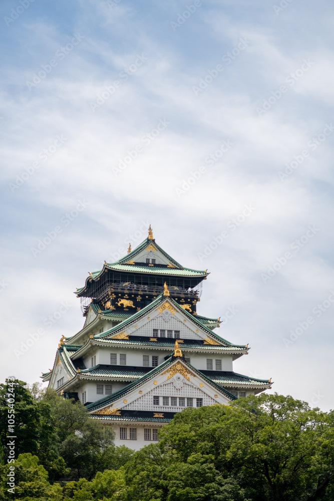 Full outdoor shot of Osaka Castle in Japan Full outdoor shot of Osaka Castle in Japan