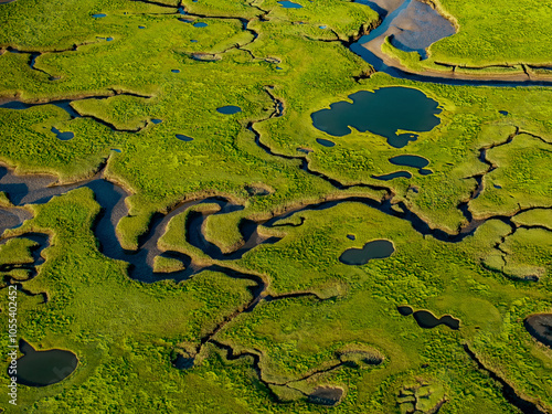 Aerial view of beautiful wetlands and a serpentine river surrounded by lush grass and marsh, Wells, United States. photo