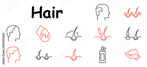Hair set icon. Hair follicle, pH balance, scalp care, injection, growth, hair product, head profile, hair roots, shampoo, care