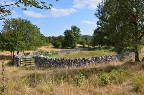 ENCLOS POUR BREBIS EN PIERRES SÈCHES