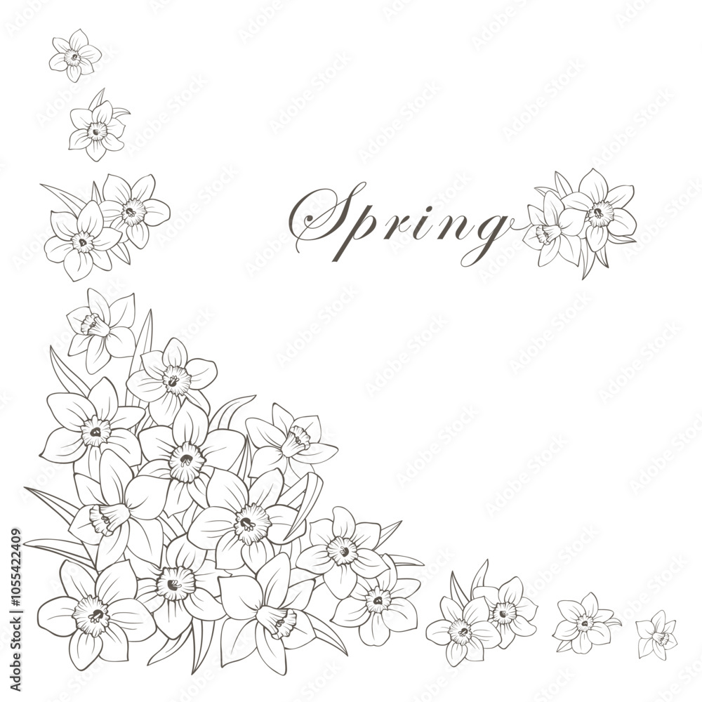 Corner frame of narcissus flowers isolated on white. Daffodils hand drawing line sketch, outline composition of many buds and leaves. Vector clipart for spring floral design, wedding or greeting card. Corner frame of narcissus flowers isolated on white. Daffodils hand drawing line sketch, outline composition of many buds and leaves. Vector clipart for spring floral design, wedding or greeting card.